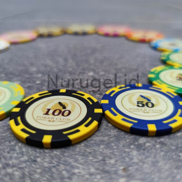 Premium Poker Clay Coin Set 300 pcs Coin + Standard Play mat