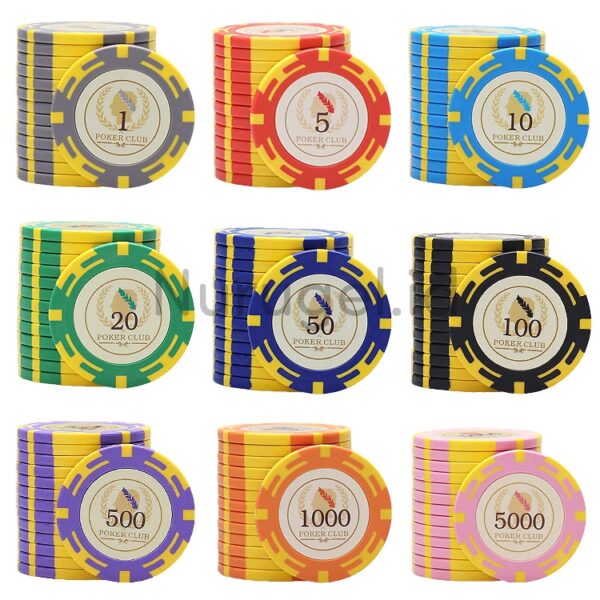 25 pcs Clay Coin Poker Chips Type C