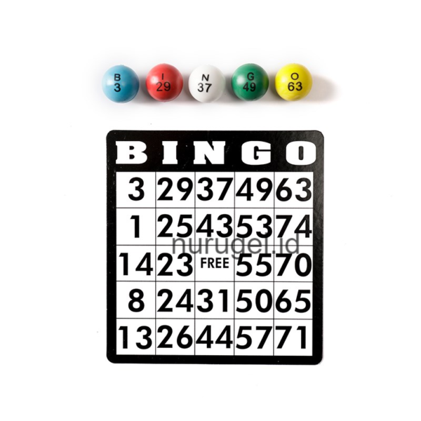 Bingo Party Game Set Large Lottery Machine