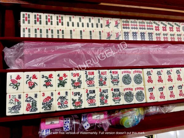 American International Mahjong Set 美国麻將 America Maciok Mahyong Amerika