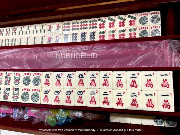 American International Mahjong Set 美国麻將 America Maciok Mahyong Amerika